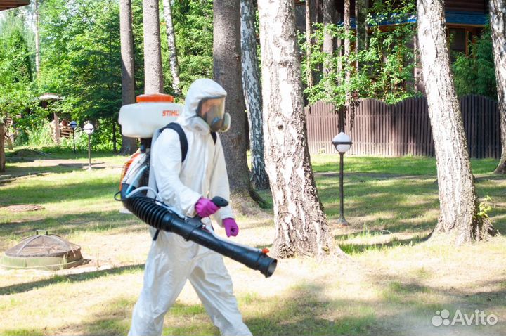 Уничтожение клопов, тараканов, мышей. Дезинфекция