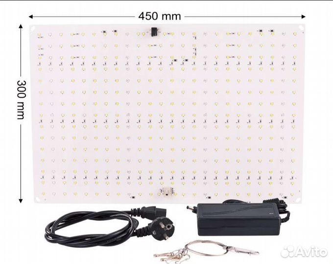 Фитолампа для растений