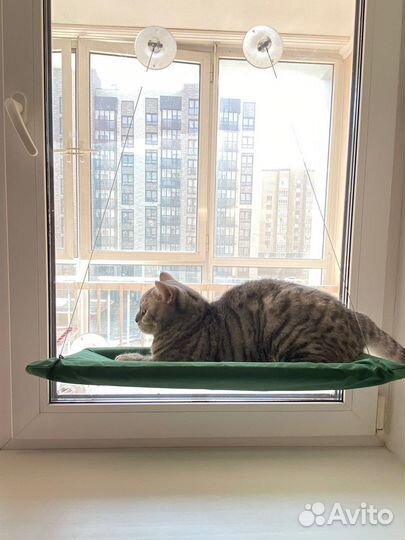 Гамак для кошек на окно лежанка для кота новая