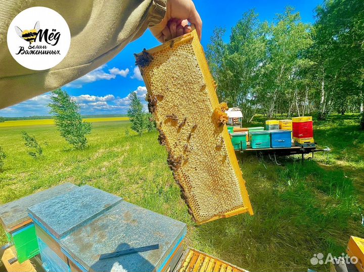 Мед натуральный липовый гречишный