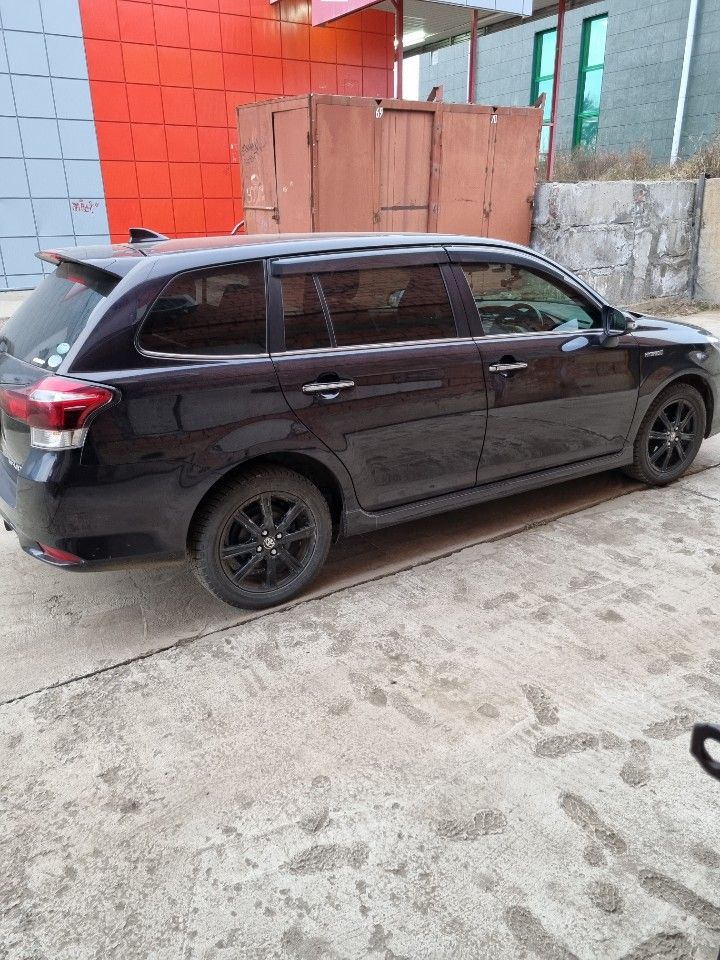 Toyota Corolla Fielder: фото владельца