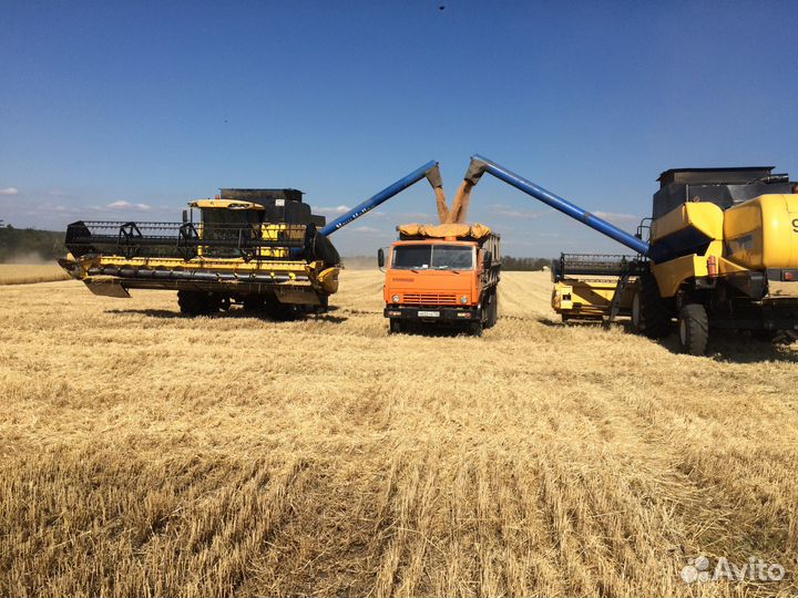 Услуги зернововозов