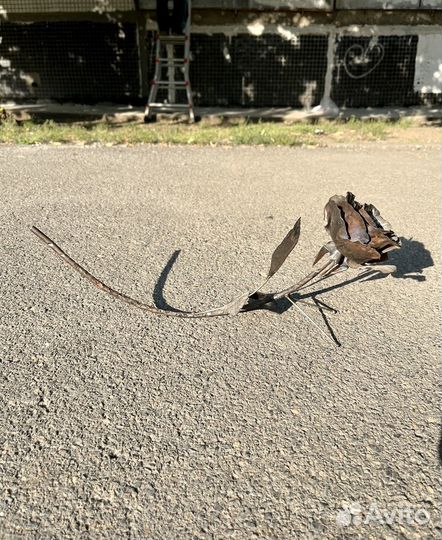 Кованая роза