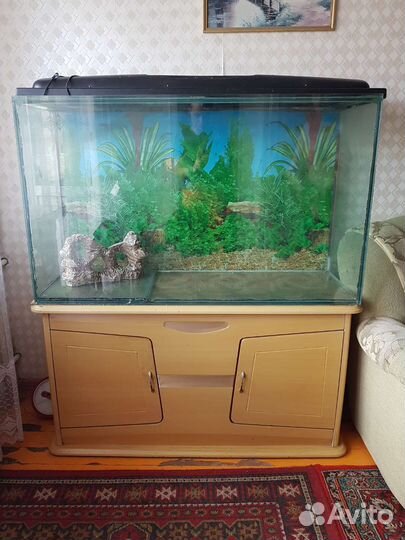 Аквариум