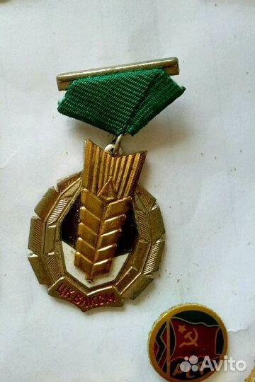 Комсомол, влксм, ссо