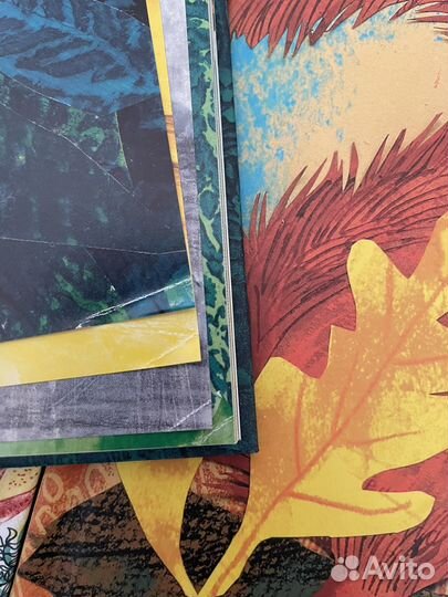 Красивая книга о море Никола Дэвис вся серия