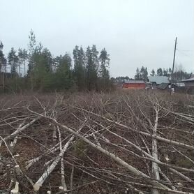 Дрова бесплатно самовывоздрова