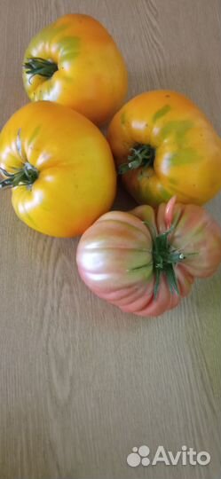 Помидоры