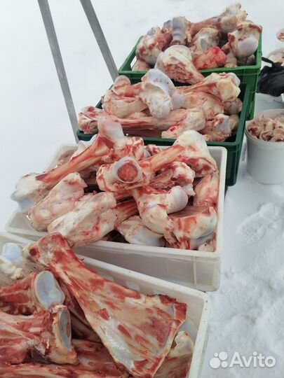 Кости для собак