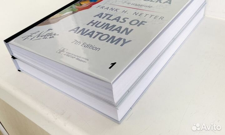 Атлас анатомии человека Неттер