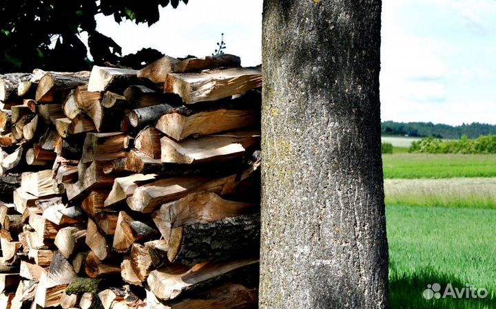 Дрова на дачу в баню
