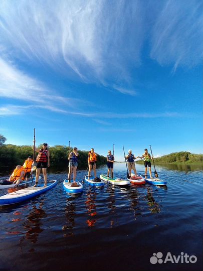 Прокат сап бордов