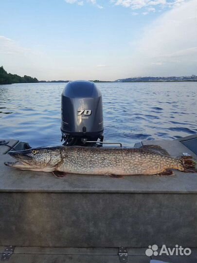 Рыбалка с гидом обучение спиннинговой ловли