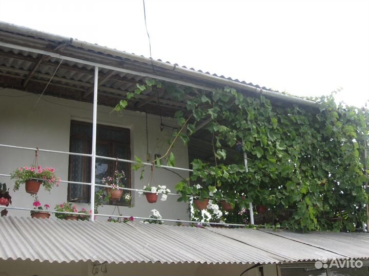 Отдых Абхазия Шицквара.Эшера Сухумский район