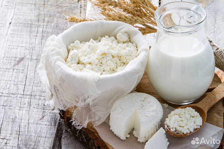 Молочные продукты