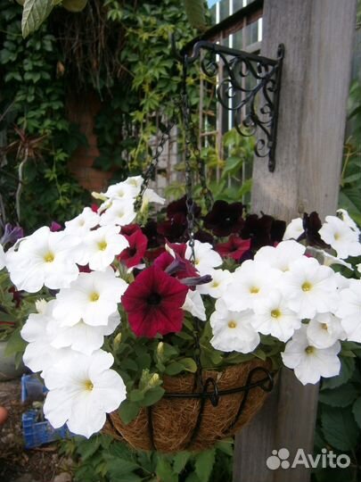 Вазоны для цветов разные