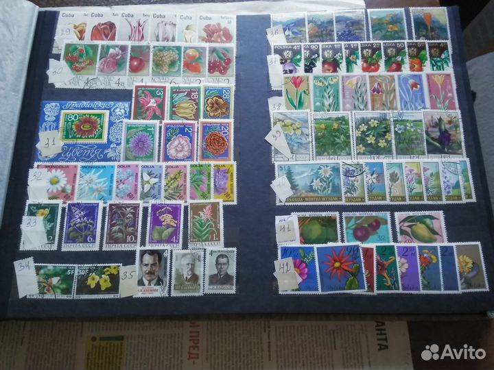 Почтовые марки. Флора 1