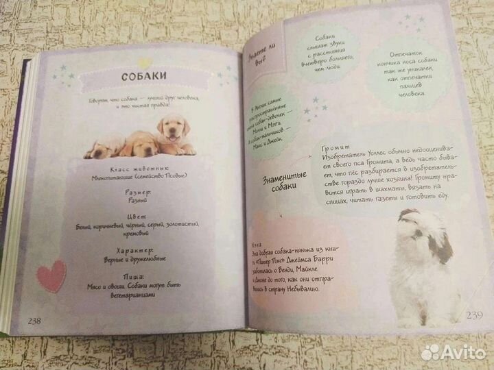 Книга Холли Вебб