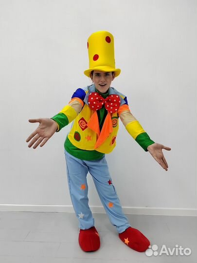 Костюм для аниматора мужской