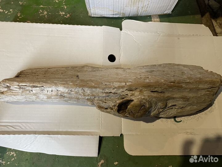 Коряги аквариум террариум дрифт вуд морской топляк