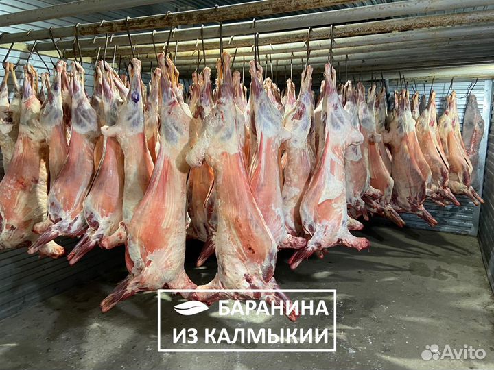 Баранина из Калмыкии (в наличии) полутуши