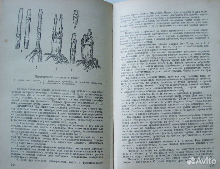 Пелях М. Справочник виноградаря. (1982)