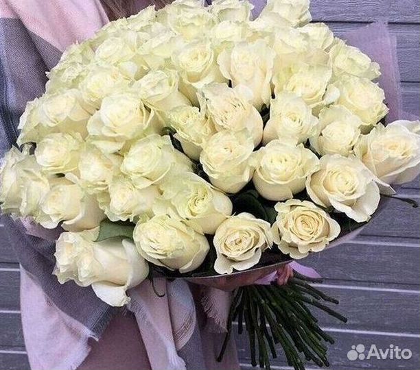 101 роза цветы букеты доставка 25 51 101 роза