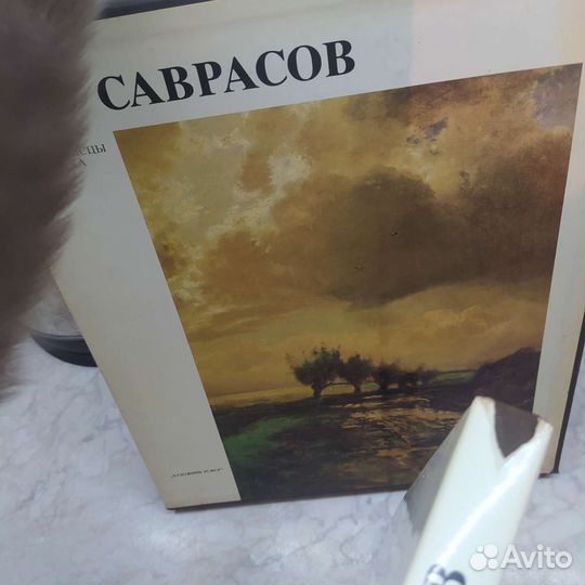 Русские живописцы 19 века, Саврасов