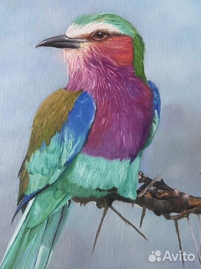 Интерьерная картина маслом «Яркая птичка»