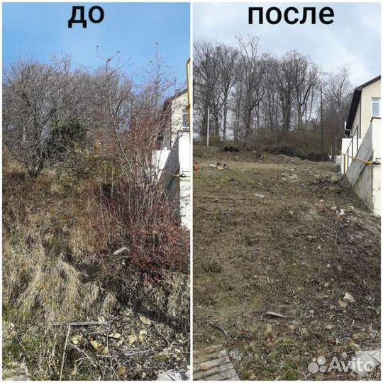 Расчистка участка в Клину