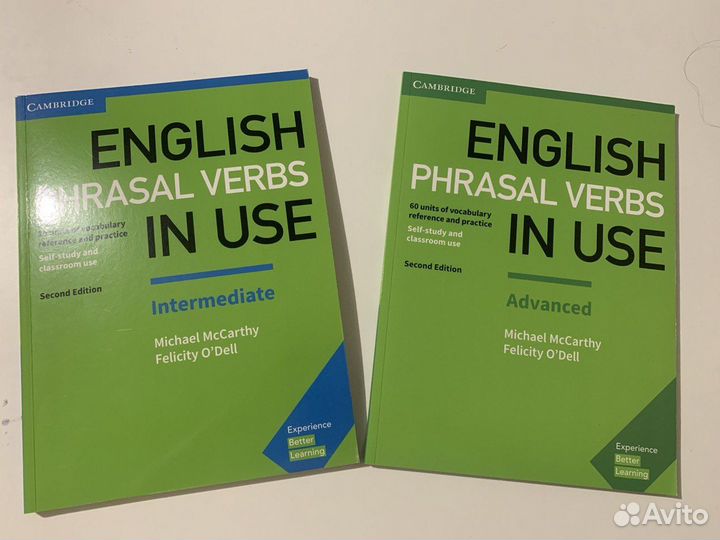 English Phrasal Verbs in Use intermediate / advanc