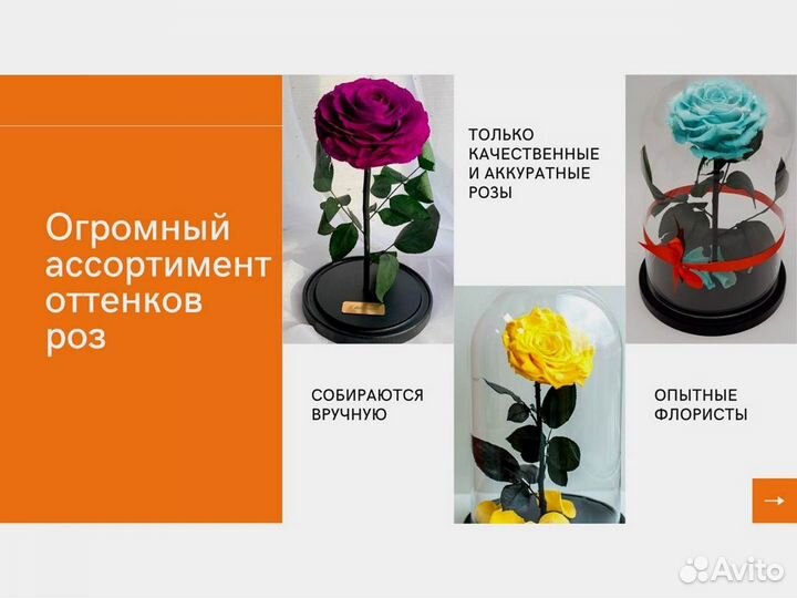 Роза в колбе. От производителя