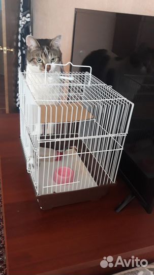 Клетка для грызунов
