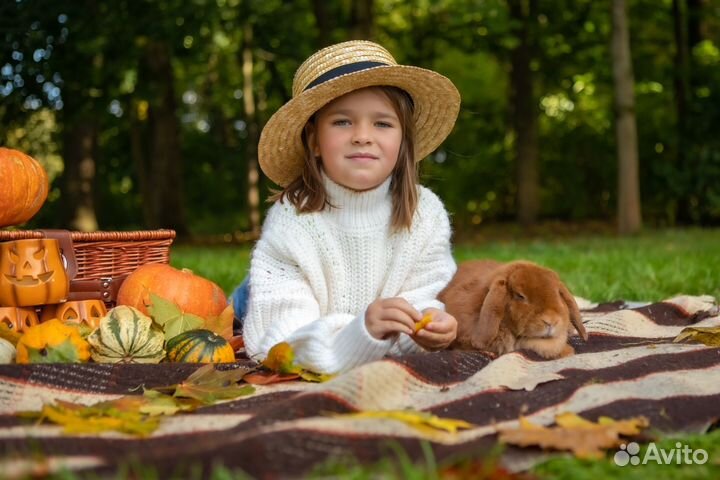 Детская фотосессия