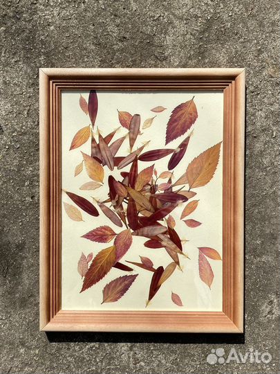 Панно на стену. Гербарий