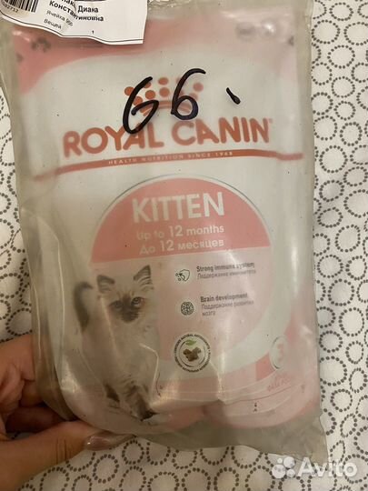 Корм для котят royal canin