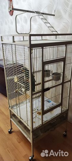 Венесуэльский амазон