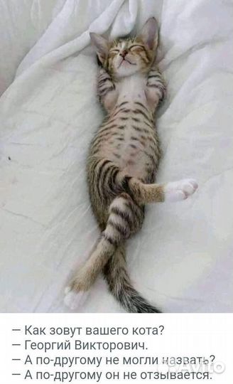 Процессор amd ryzen 5 2600