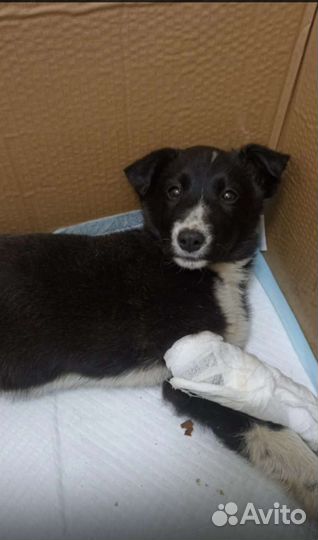 Мне очень нужен дом