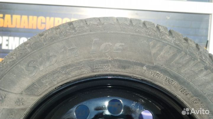 Matador MP 50 Sibir Ice 175/70 R13