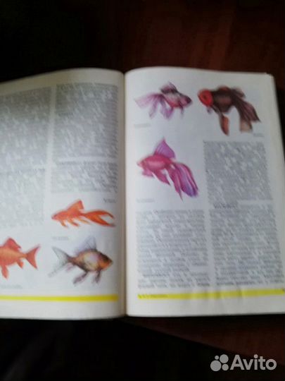 Книга о домашних животных