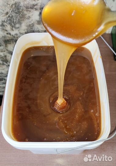 Мед Алтайский разнотравье с гречихой 2023