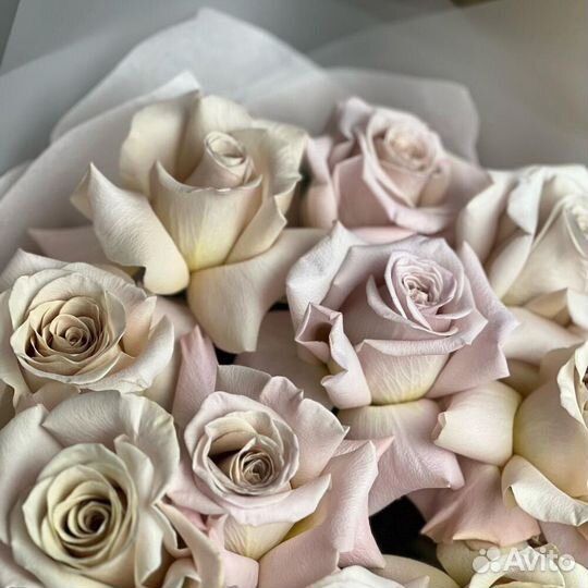 Букет Розы Menta 11