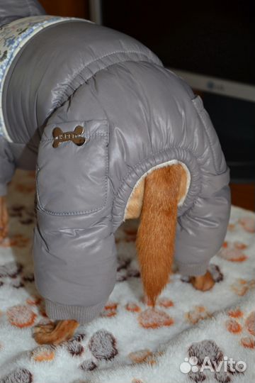 Комбинезон для собак