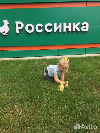 Суточный бройлер, индюшата