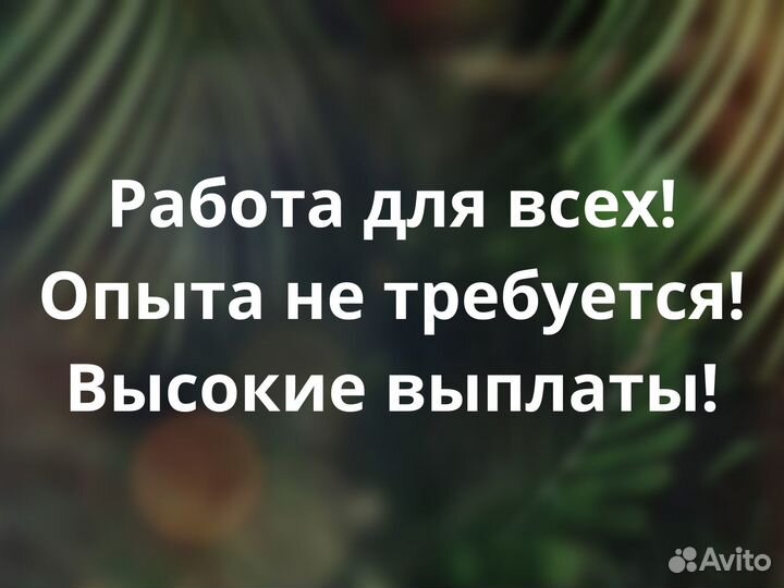 Мойщики