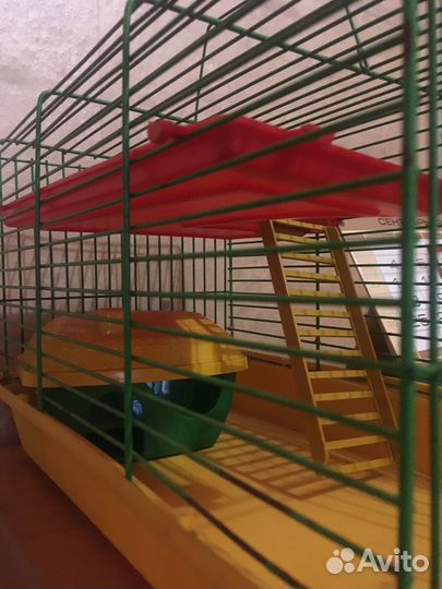 Клетка для джунгарика