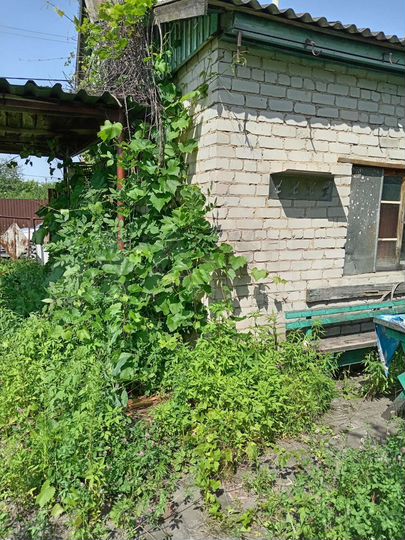 Дача 29,3 м² на участке 4 сот.