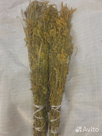 Веники для бани- донник