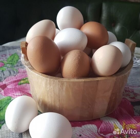 Домашние куриные яйца